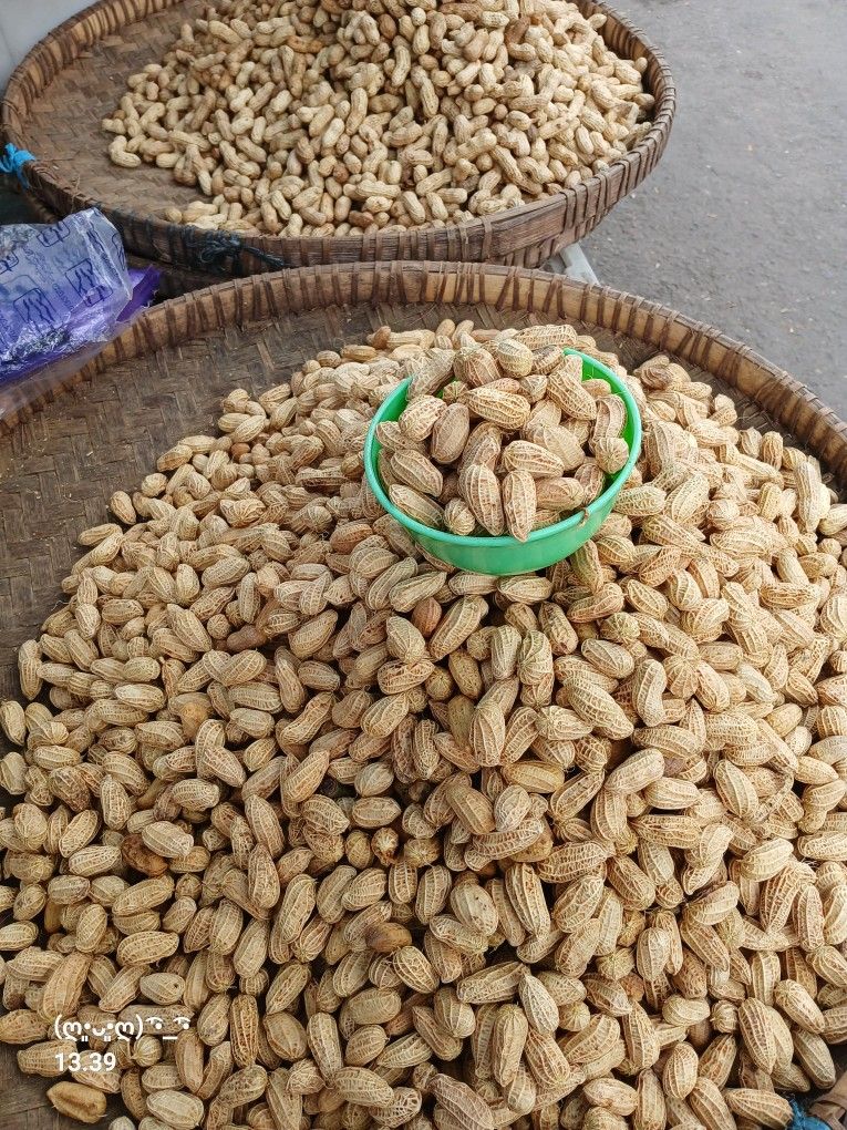fresh groundnut