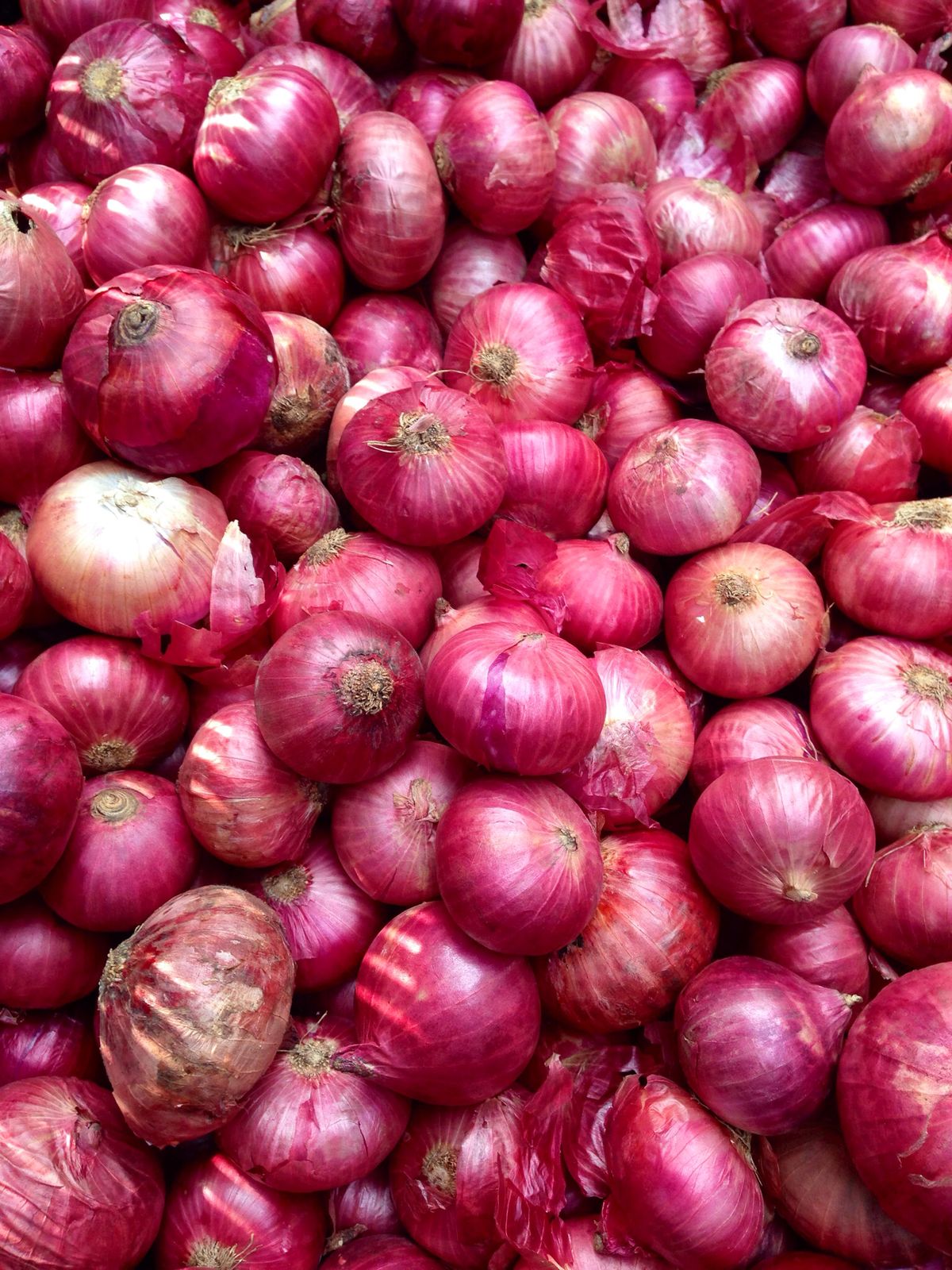 red onions