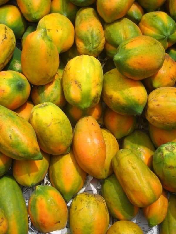 pawpaw